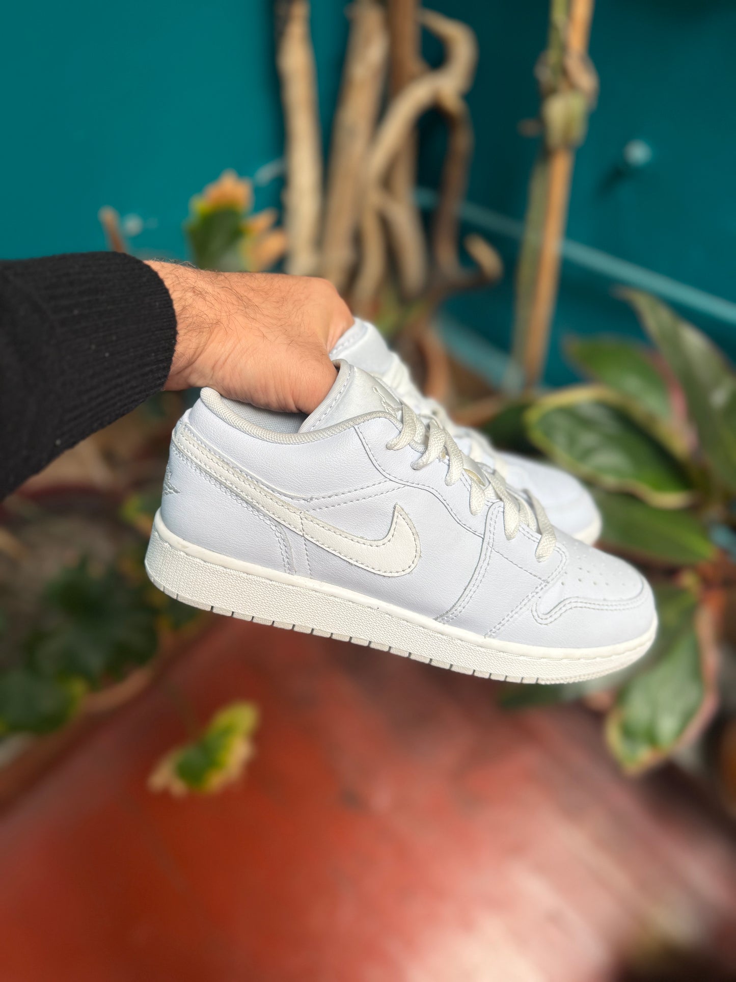 Jordan 1 low