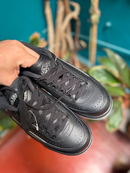Jordan 2 low