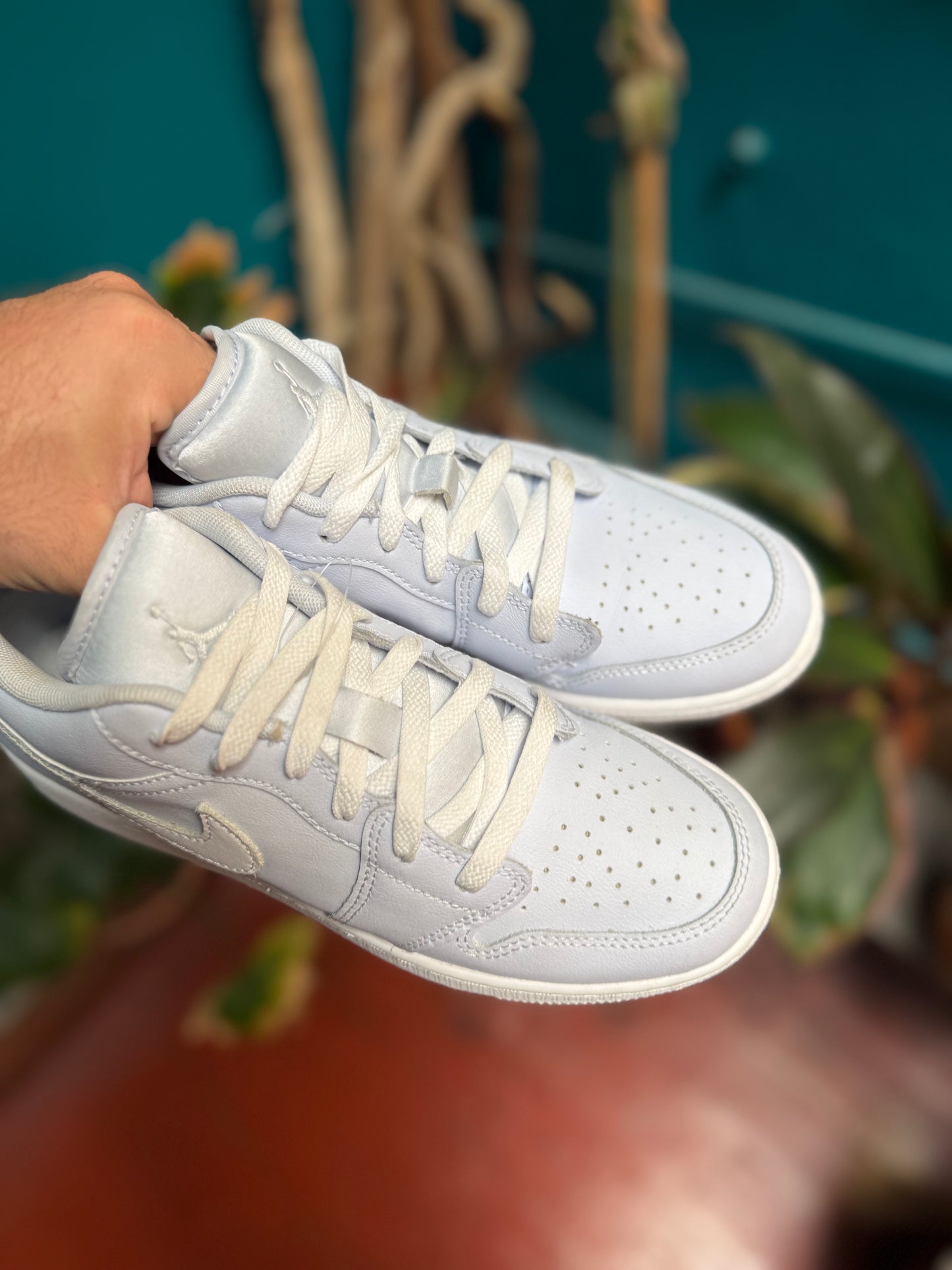 Jordan 1 low