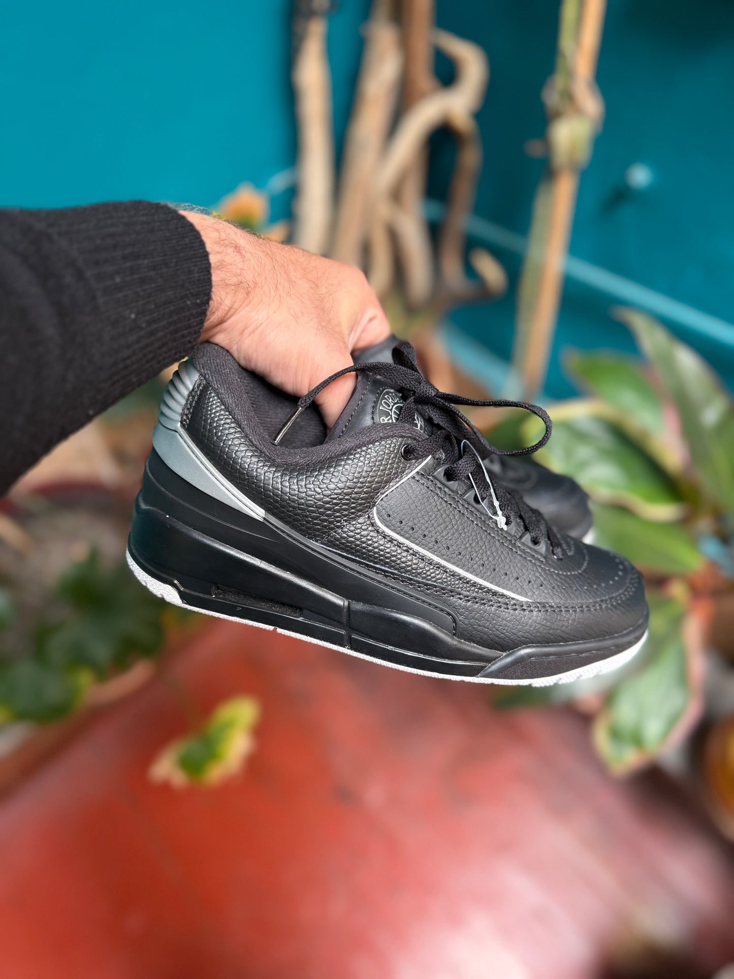Jordan 2 low