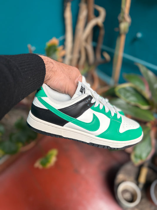 Nike dunks