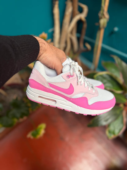 Nike airmax 1
