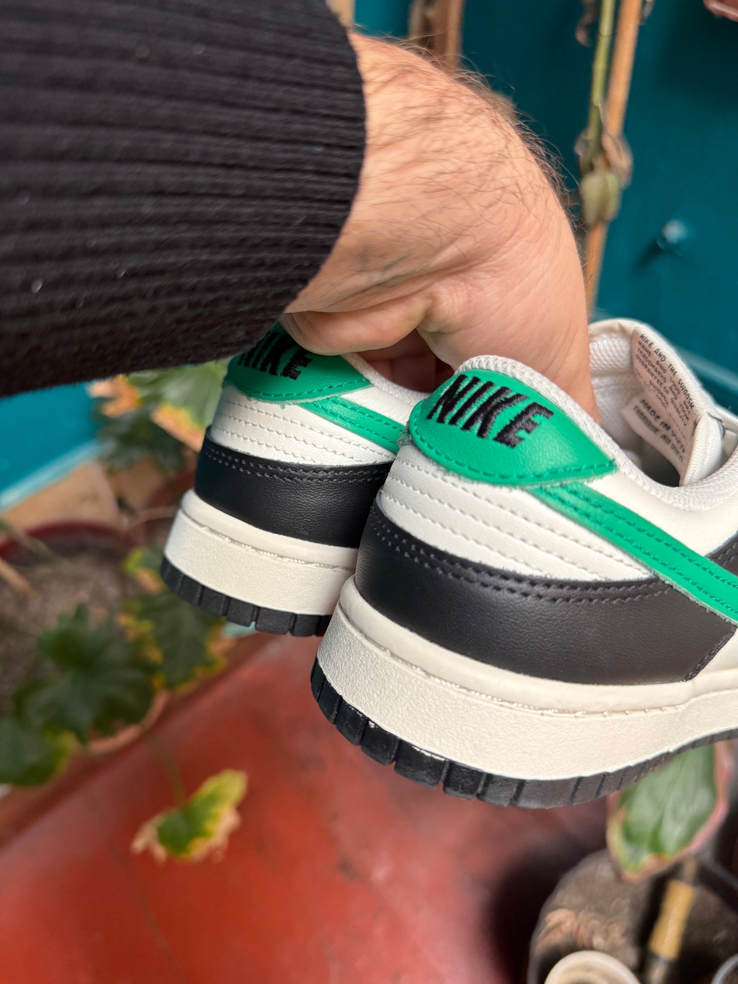 Nike dunks