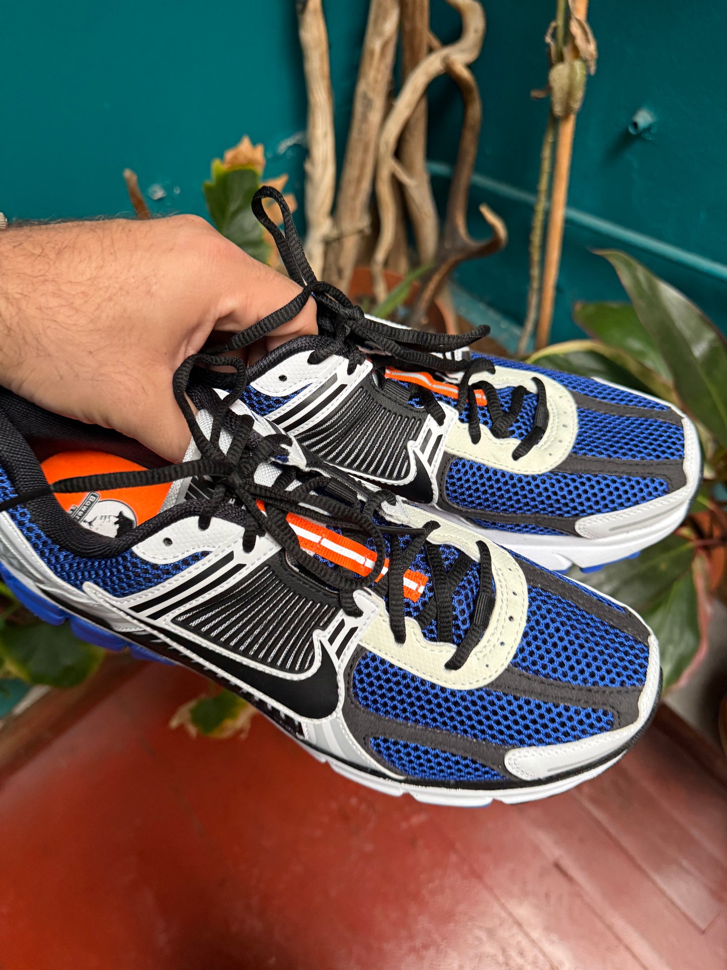 Nike Vomero