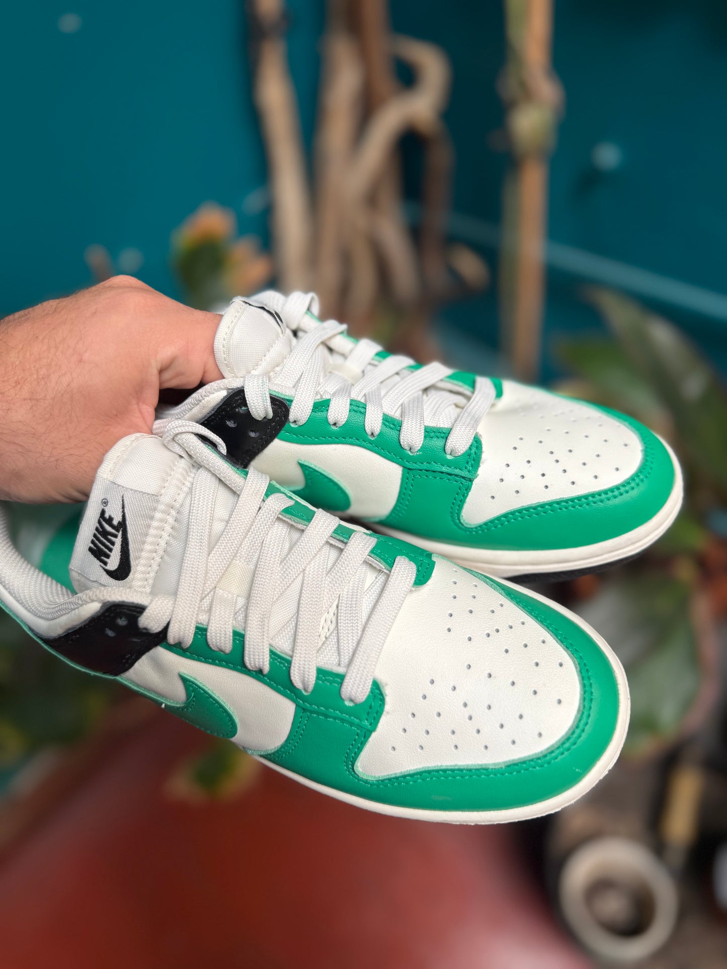 Nike dunks